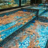 在杭州不得不吃的豪华海鲜大工坊！