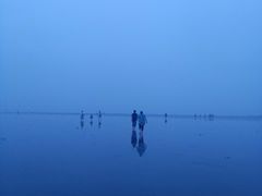-奉贤海滩