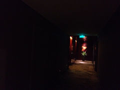 环球恐龙城维景国际大酒店-常州环球恐龙城维景国际大酒店