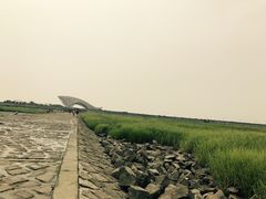 -南汇嘴观海公园