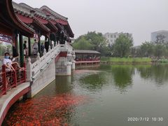-西海子公园