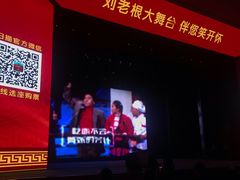 -刘老根大舞台-长春旗舰店