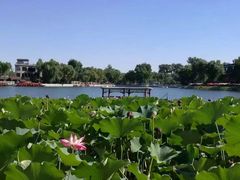 -小王府(什刹海店)