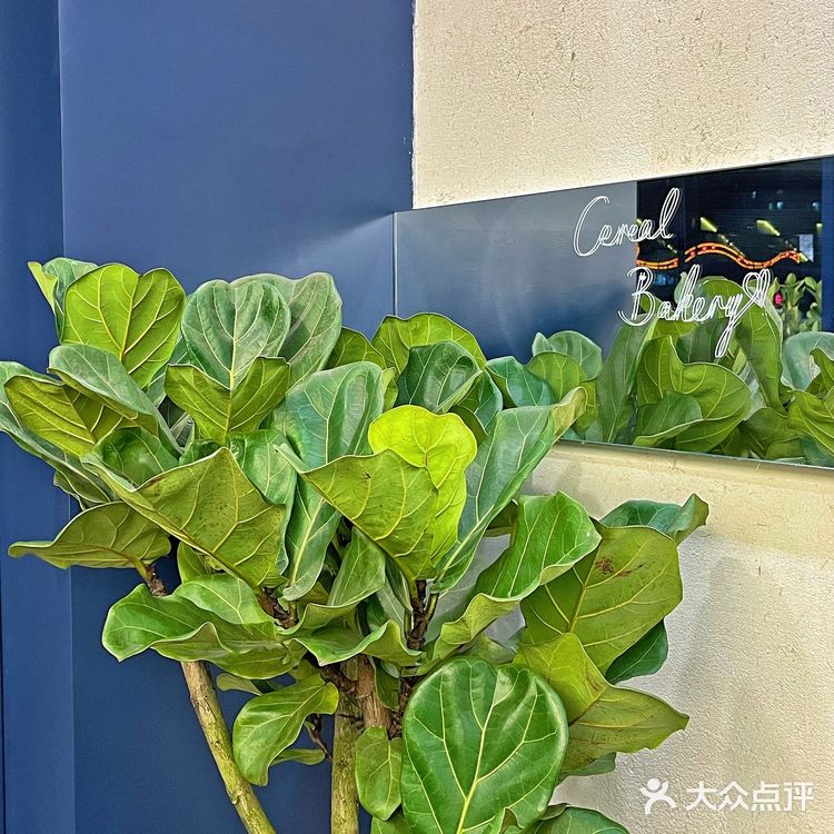 太卷了！杭州天天开面包店这谁受的了啊！