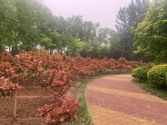 -北坞公园