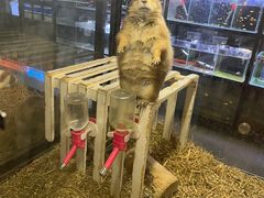 -仲盛世界商城