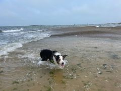 -日照灯塔风景区