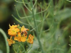 -中国天府农业博览园