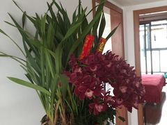 -新湖明珠城