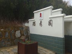 -独秀园