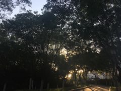 -滨河世纪广场公园