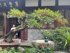 -成都杜甫草堂博物馆