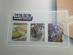 -中国湿地博物馆