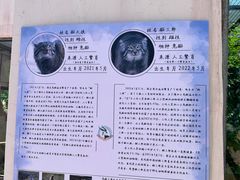 -青藏高原野生动物园