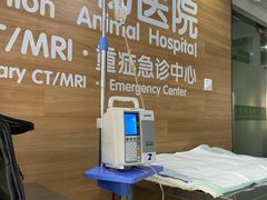 -爱侣宠医·鹦鹉专科·小型哺乳类·异宠专科(灵石路店)