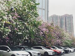 -天河体育中心