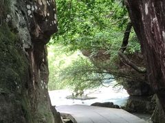 -刘伯温故里景区百丈漈