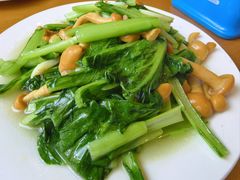 -大顺堂食府(牛街店)