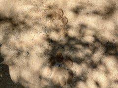 -威勒比开放式动物园