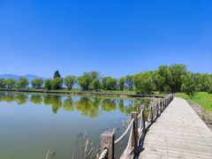 -野鸭湖国家湿地公园