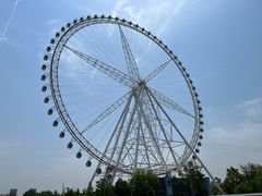 -祥源·阜阳生态乐园