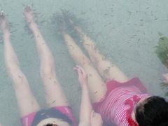 iphone_upload_pic-三江森林温泉度假区
