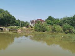 -中国扬子鳄村