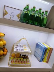 -YESIDO椰岛造型