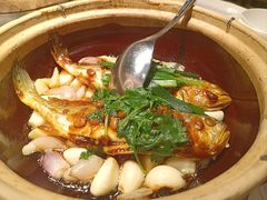 -大鸽饭(岗顶店)
