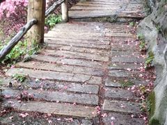 -木兰云雾山