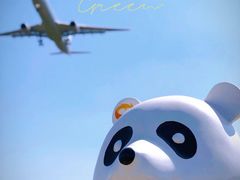 -空港花田景区