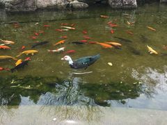 -张江润和国际总部园