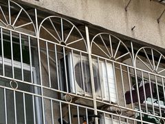 -Again Coffee Roaster(香蜜湖店)