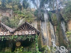 -西双版纳原始森林公园