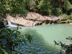 -广州白江湖森林公园