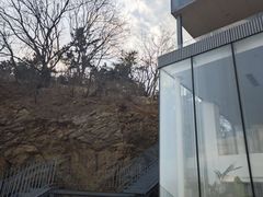 -辰熙ACX星海艺术中心