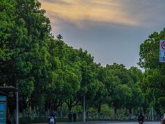 -天鹅湖体育公园