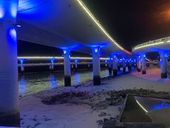 -演武大桥观景平台