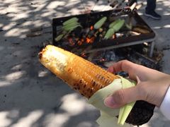 -北戴河集发农业梦想王国