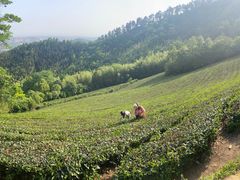 -敬亭山风景名胜区