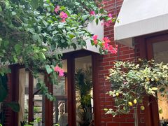 -溪岸路花鸟市场