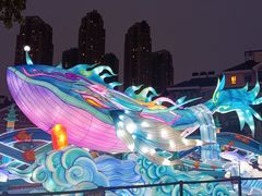 -海合安成都极地海洋公园