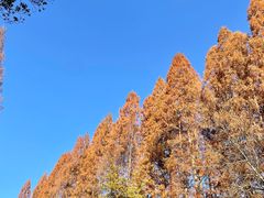 -虎跑公园