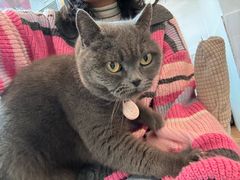 -春笙食堂.丼饭拉面寿司(GOGO新天地店)