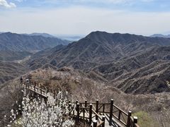 -大岭沟猕猴桃谷风景区