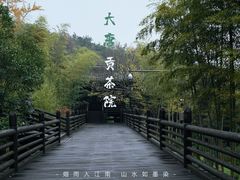-大唐贡茶院