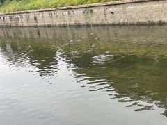 -元大都城垣遗址公园