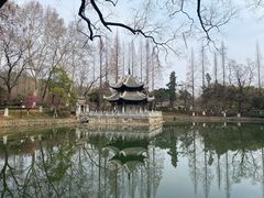 -习家池