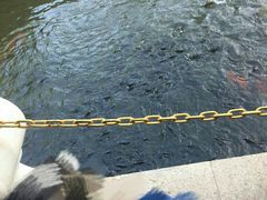 -三亚亚龙湾雅高铂尔曼别墅度假酒店
