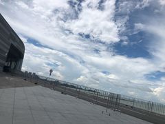 -野狸岛
